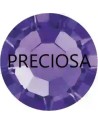 Purple Velvet ss6 Preciosa